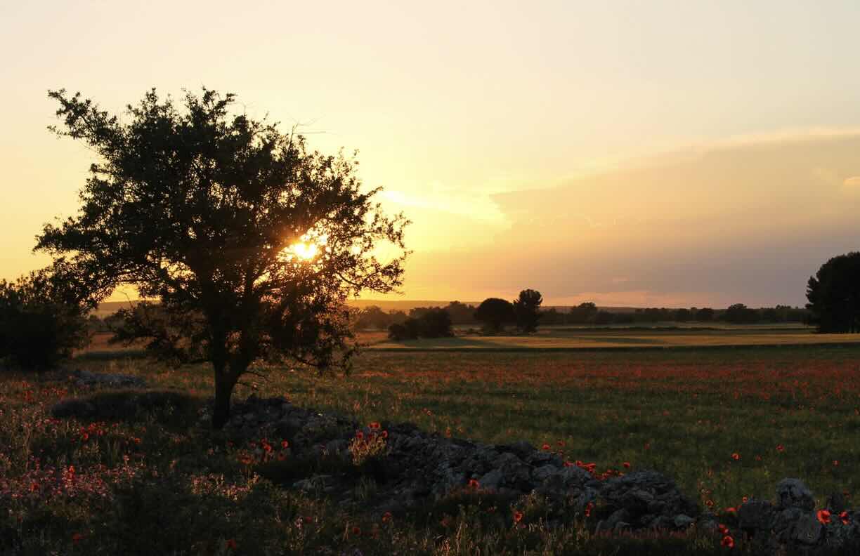 itinerario puglia 7 giorni la murgia