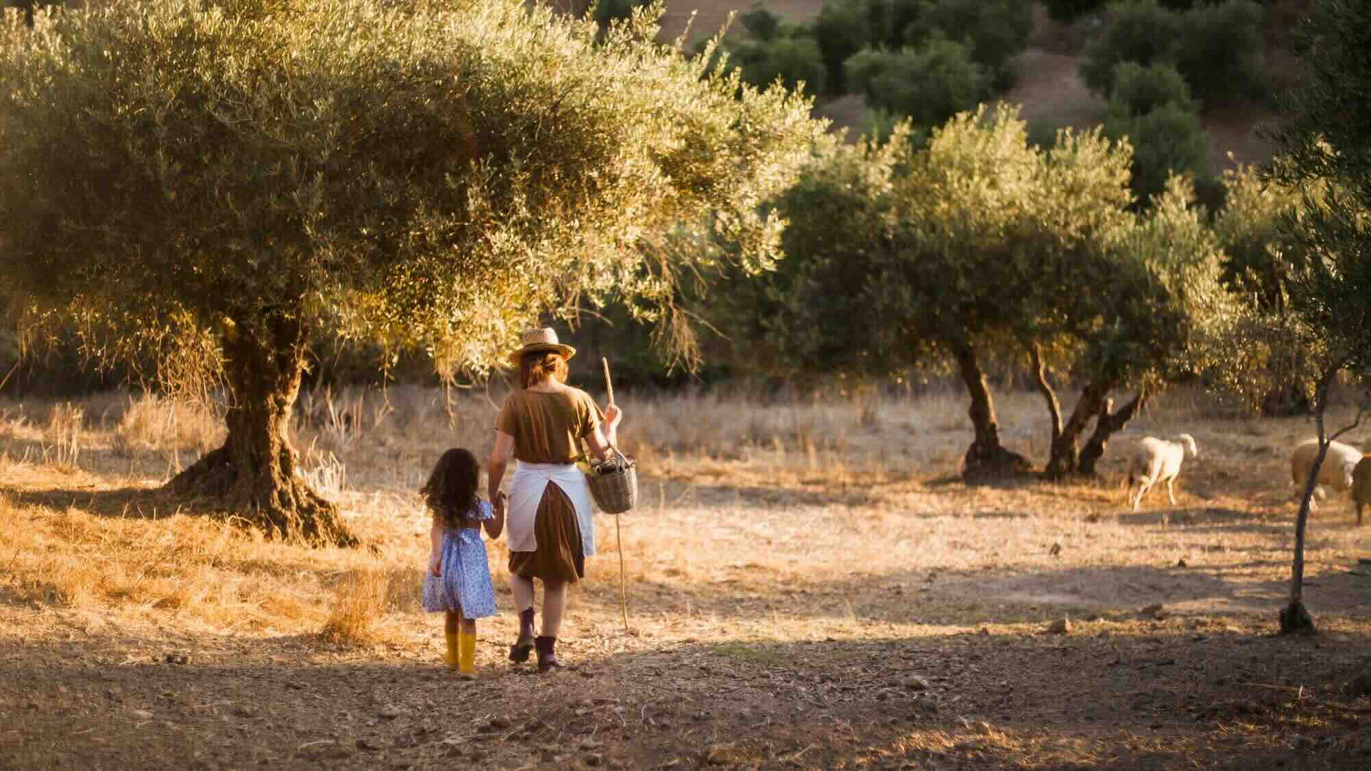 esperienza in masseria a lecce